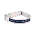 Dog Long Walks Striped Pink Collar-0